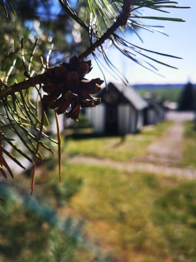 Cyklocamp Pod Landstejnem Hotel Stare Mesto  Bagian luar foto